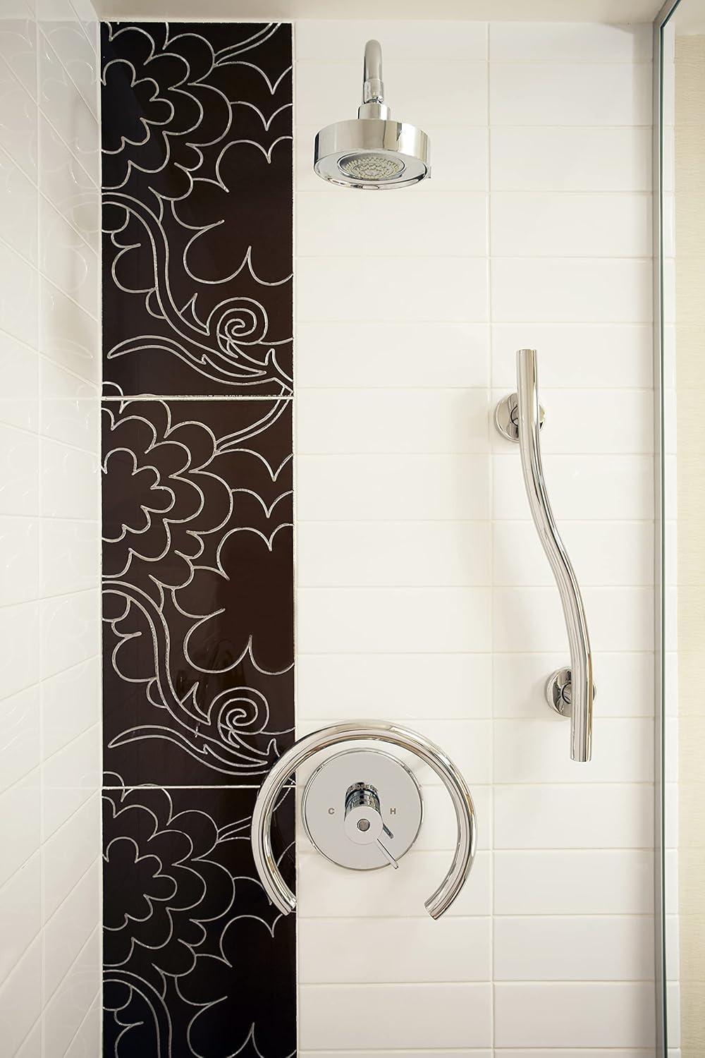 Lifestyle & Wellness Stainless Steel Wave Grab Bar