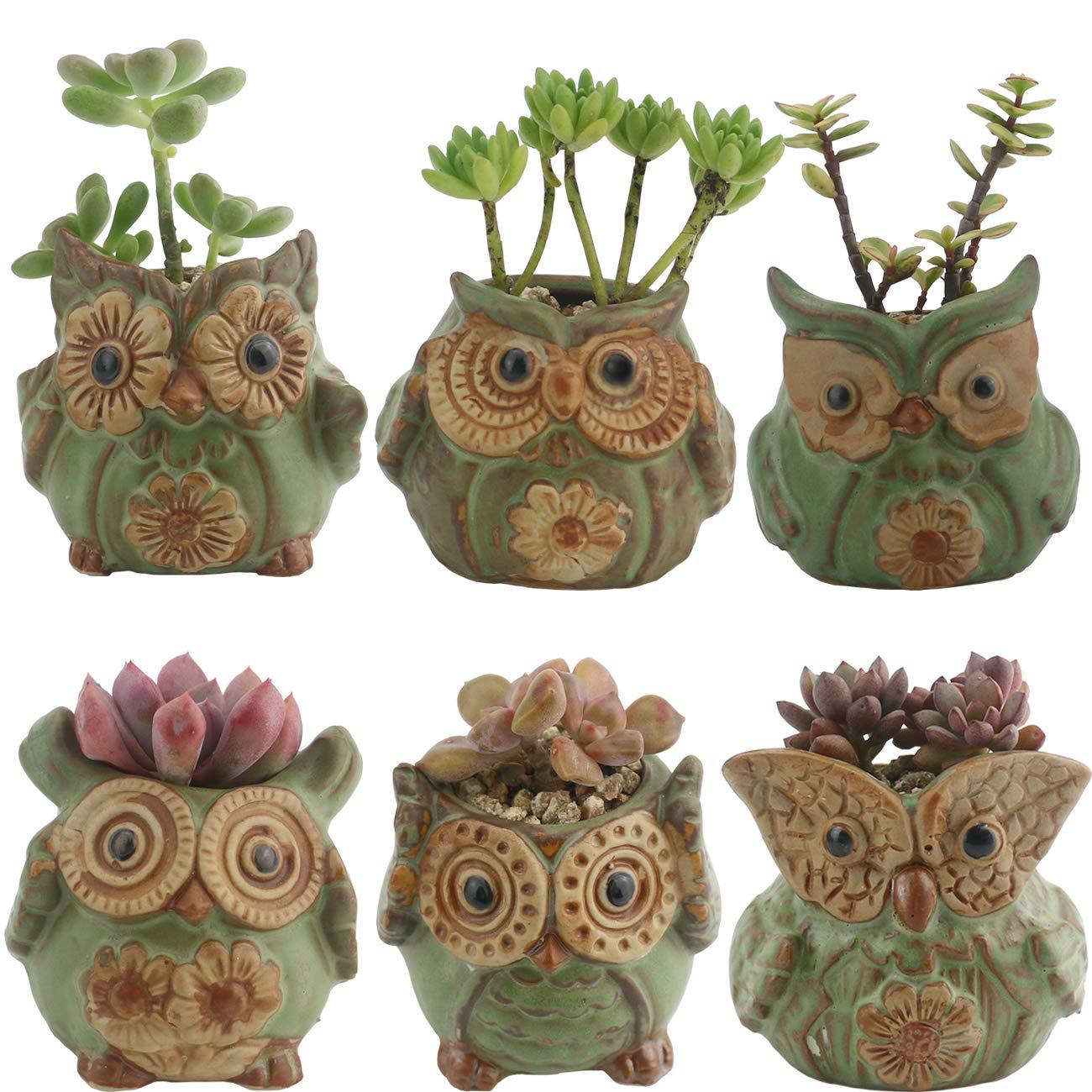Ogrmar 6Pack Owl Plant Window Boxes Cute Owl Flower Pot/Modern Ceramic Succulent Planter Pots/Tiny Flower Plant Containers Animal Decor