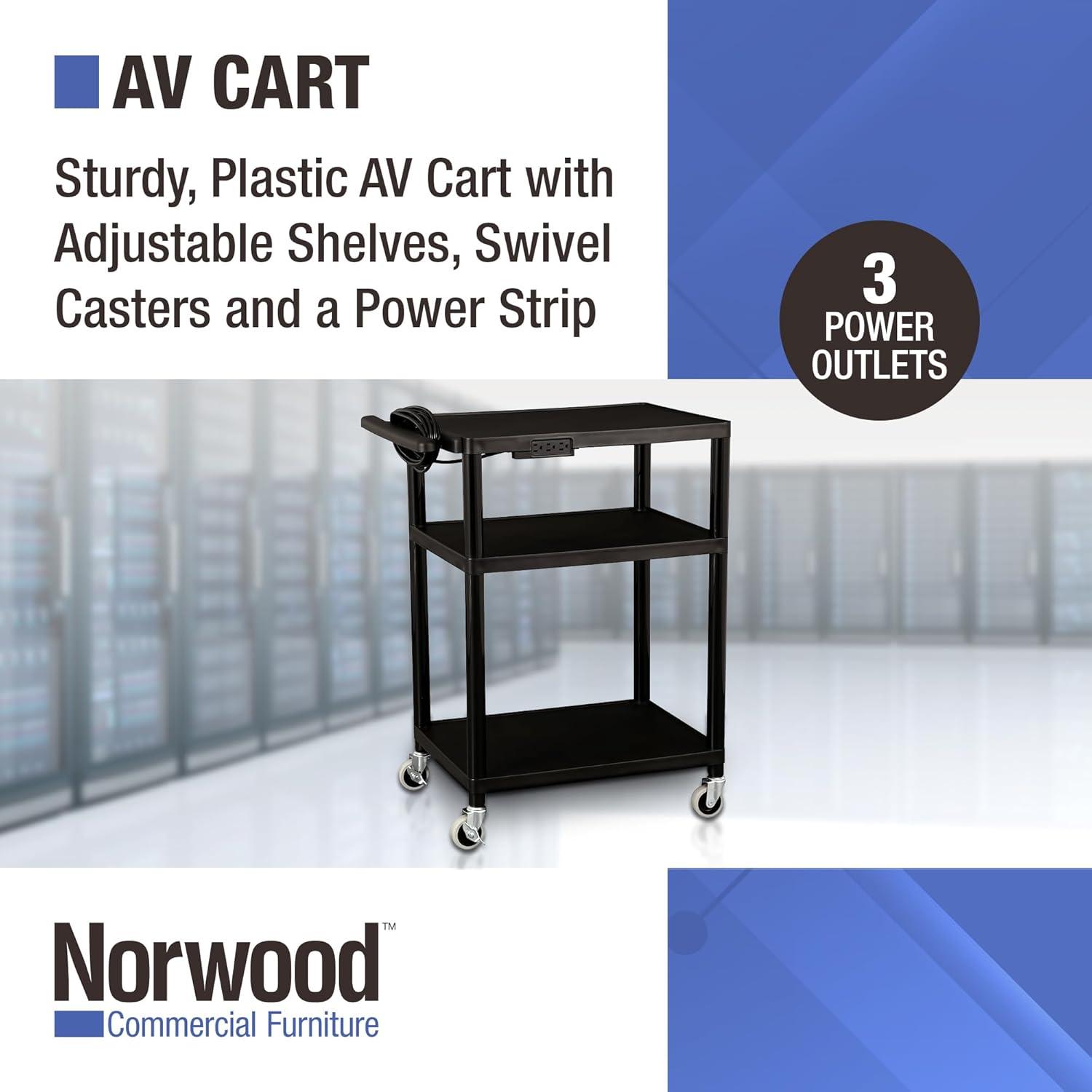 41'' H x 28'' W AV Cart with Wheels