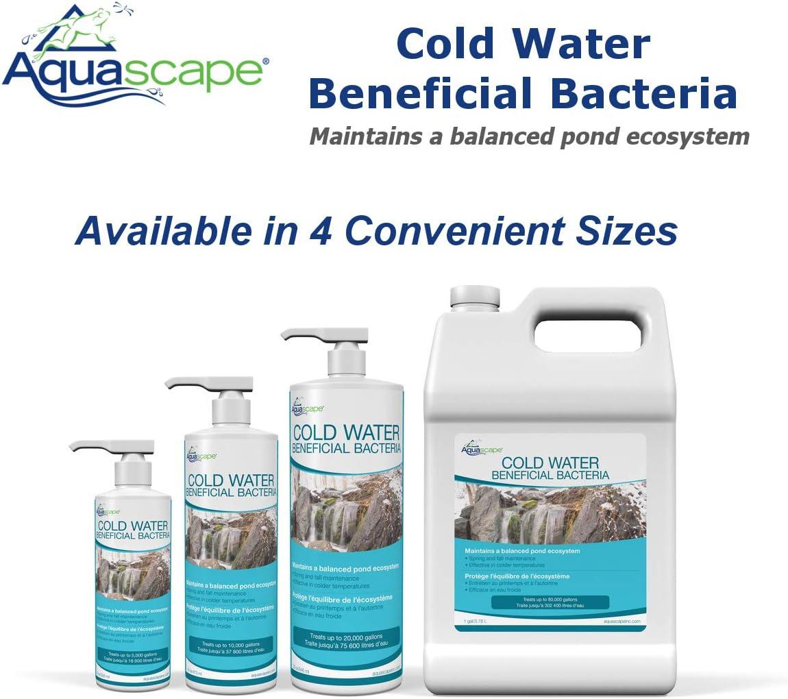 Cold Water Beneficial Bacteria for Ponds