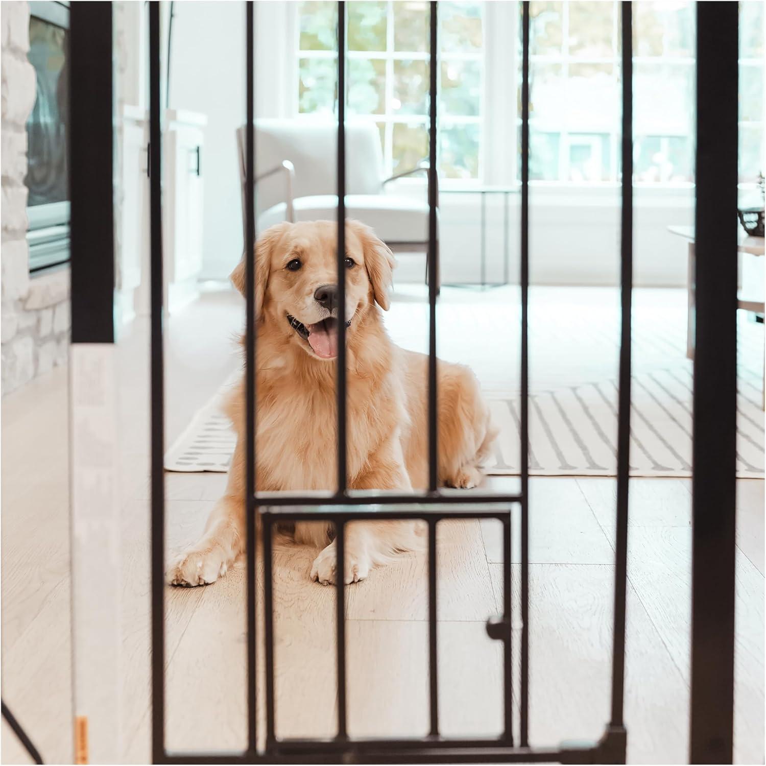 Black Extra Tall Metal Pet Gate with Small Door