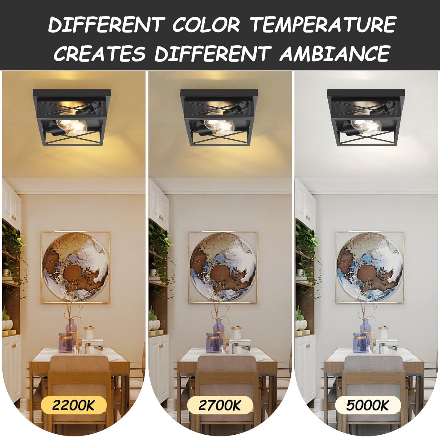 Pynsseu Flush Mount (Set of 2)