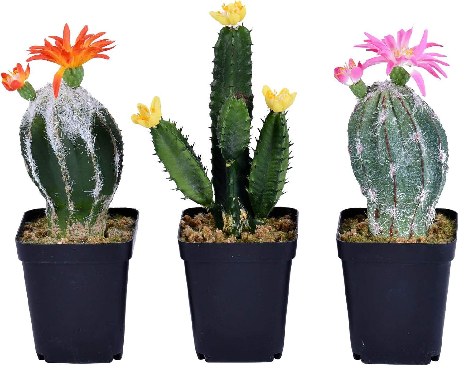 Vickerman 8" Artificial Cactus, Black Plastic Planters Pot, Set of 3