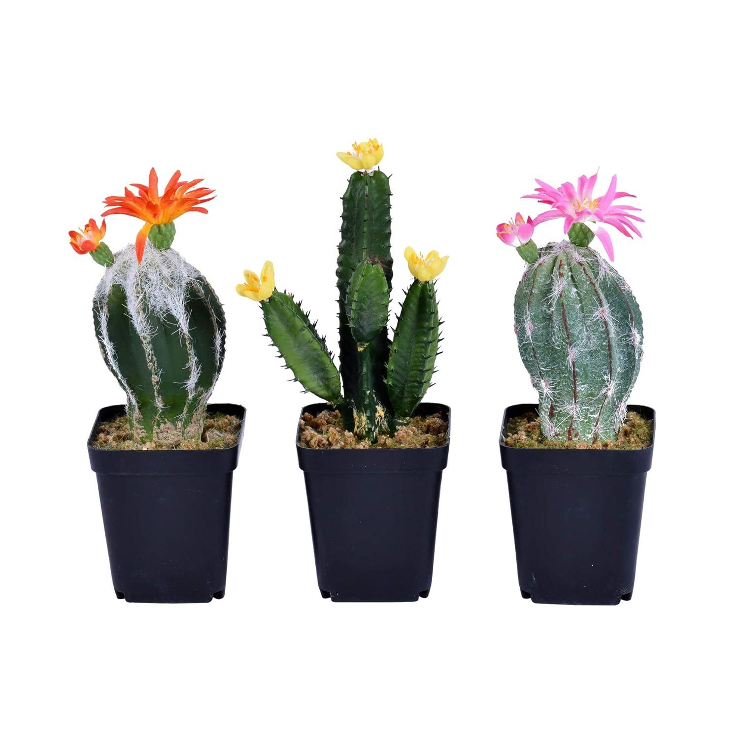 Vickerman 8" Artificial Cactus, Black Plastic Planters Pot, Set of 3