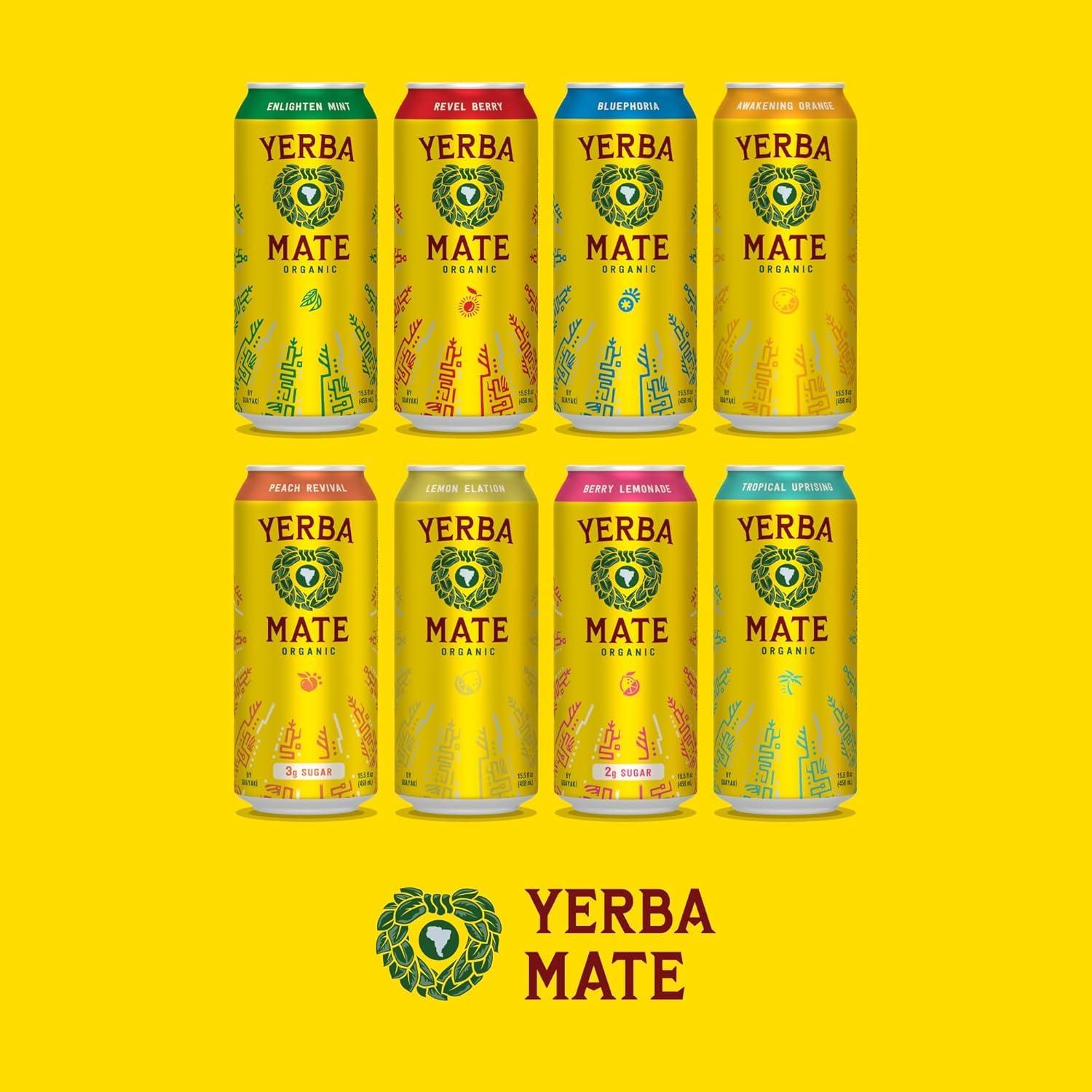 Guayaki Yerba Mate, Clean Energy Drink Alternative, Organic Tropical Uprising, 15.5oz (Pack of 12), 150mg Caffeine