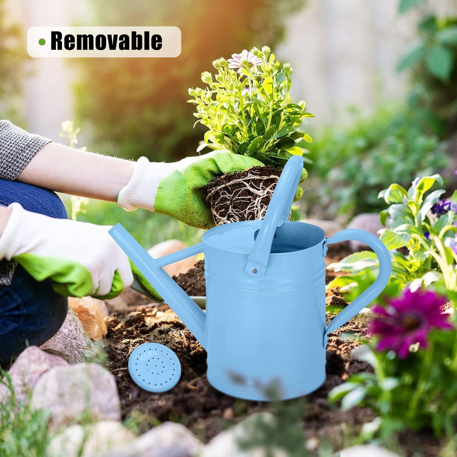 Light Blue Galvanized Metal Watering Can with Removable Spout