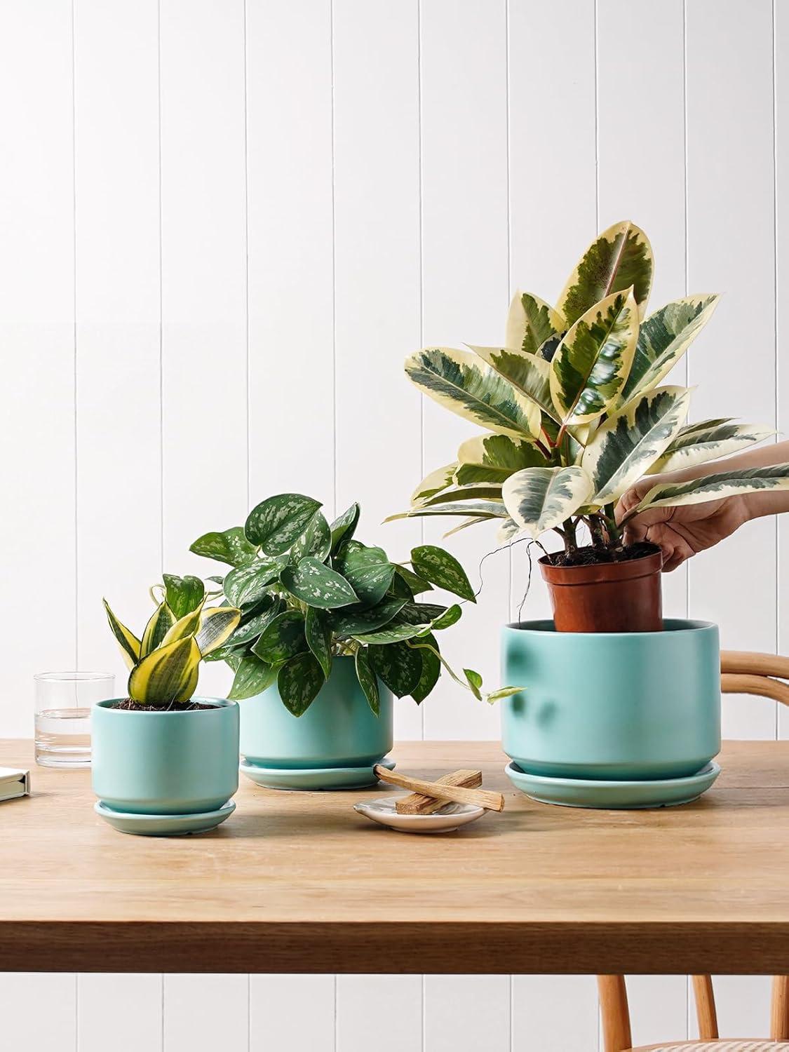 Set Of 3 Modern Ceramic Planter Pots With Drainage - Stylish Indoor/Outdoor Decor