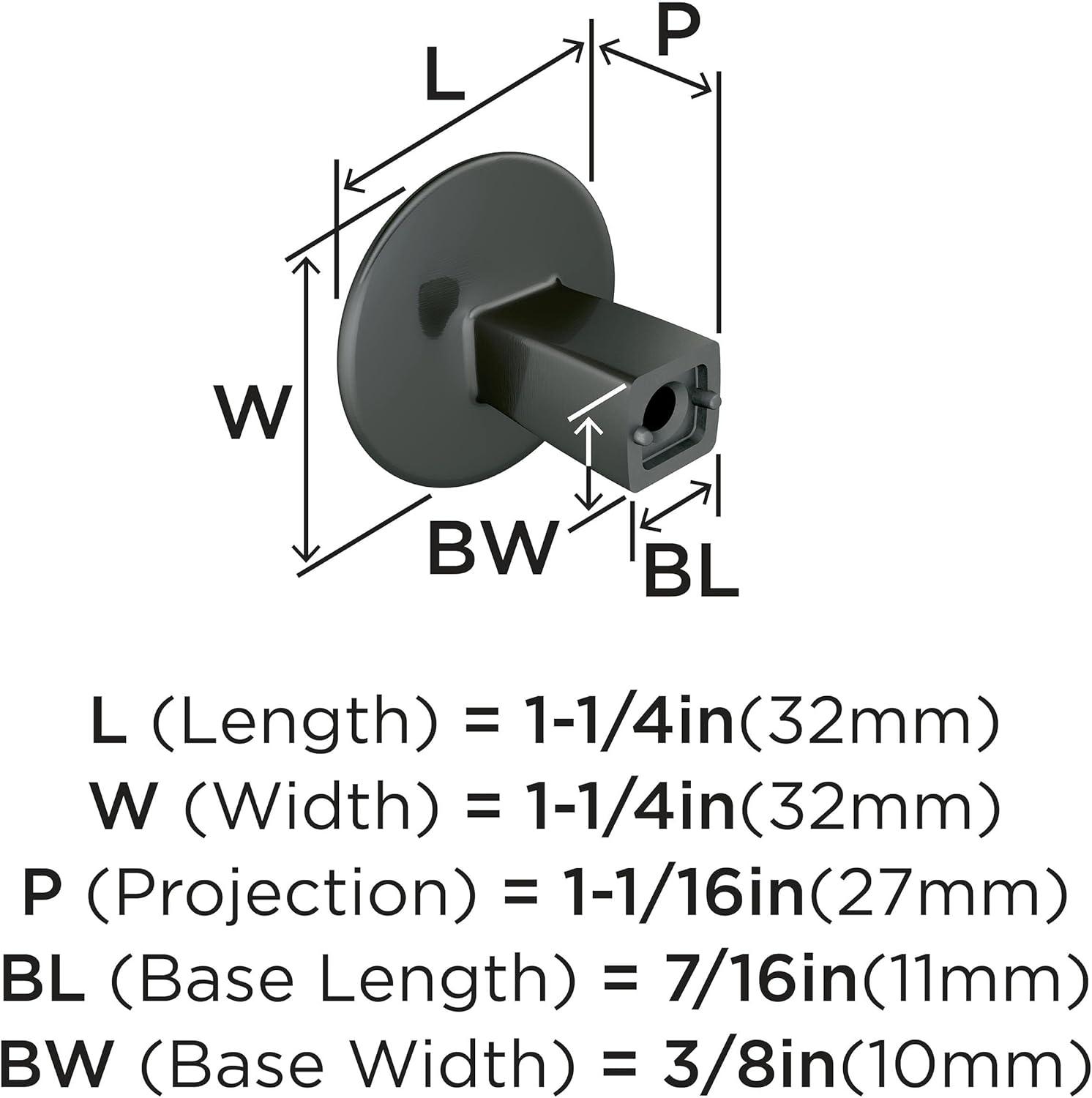 Amerock Riva 1-1/4 inch (32mm) Diameter Graphite Cabinet Knob