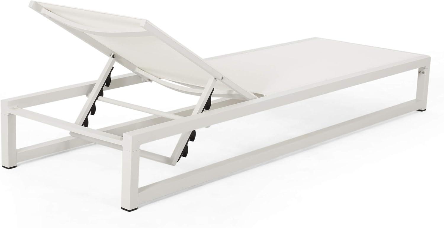 Christopher Knight Home Modesta Outdoor Aluminum Mesh Chaise Lounge (Set of 2) by  White