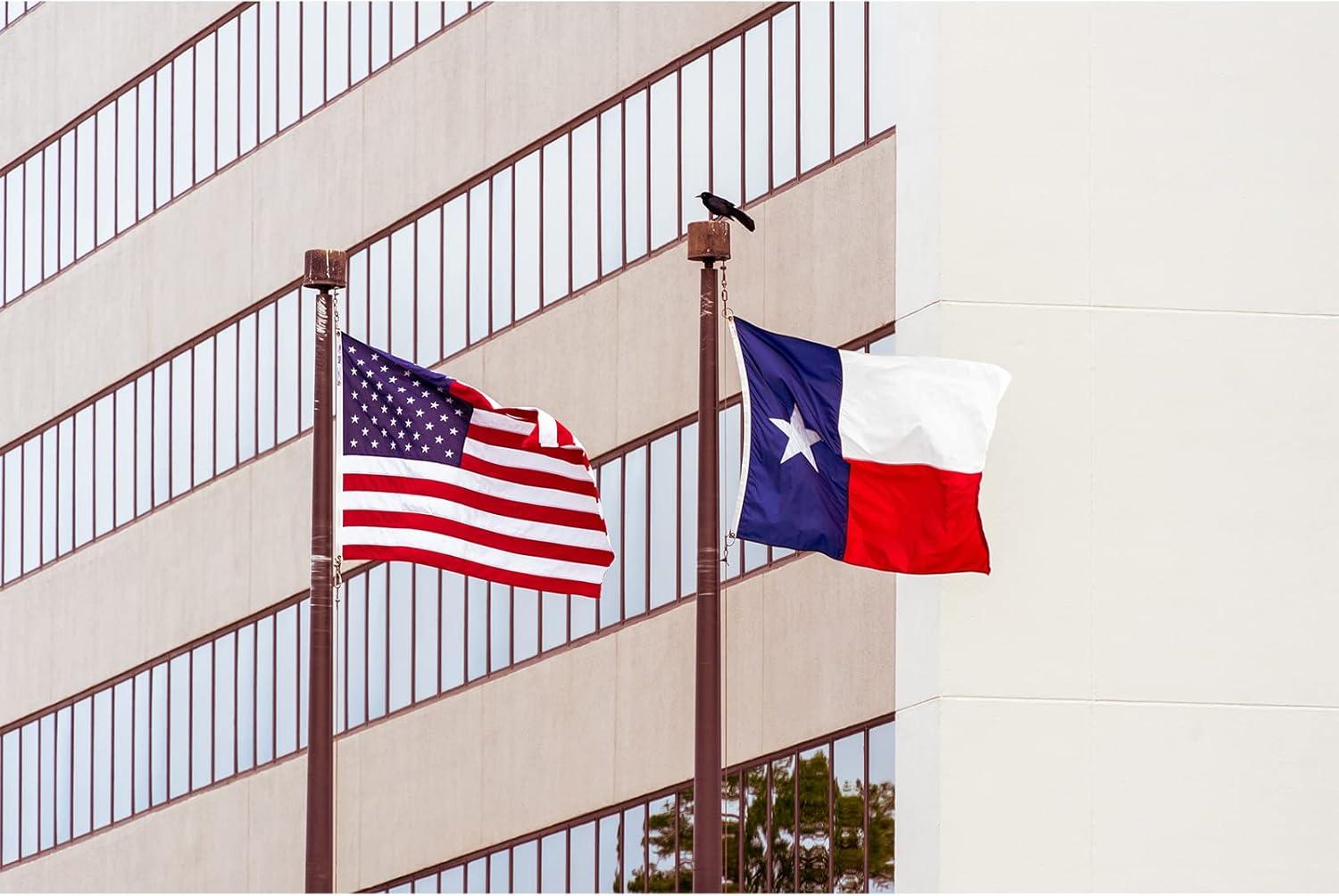 Texas Flag Sleeved TX State Flags 3x5 Outdoor Embroidered Star Heavy Duty Nylon Sleeve with Vivid Color