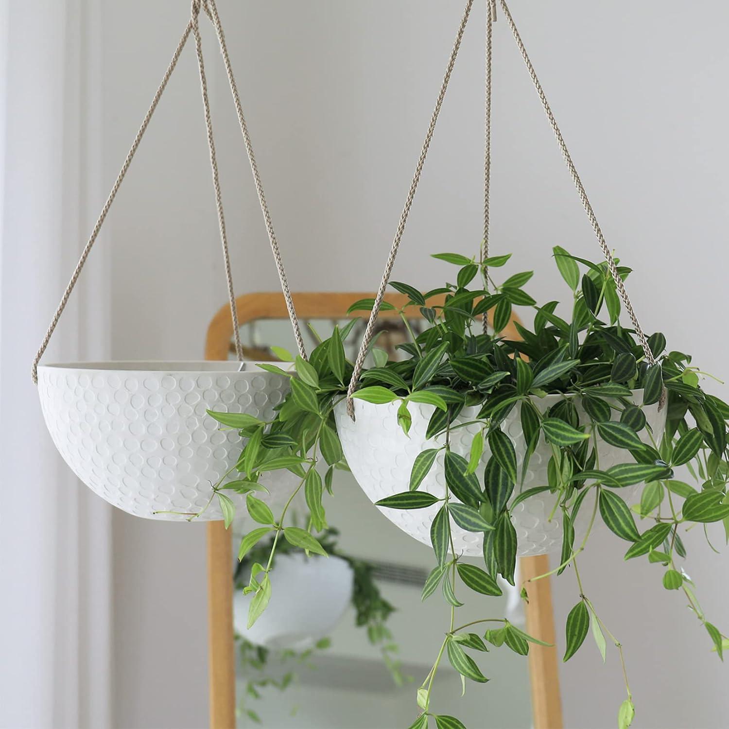 Boxdale Hanging Planter - Set of 2