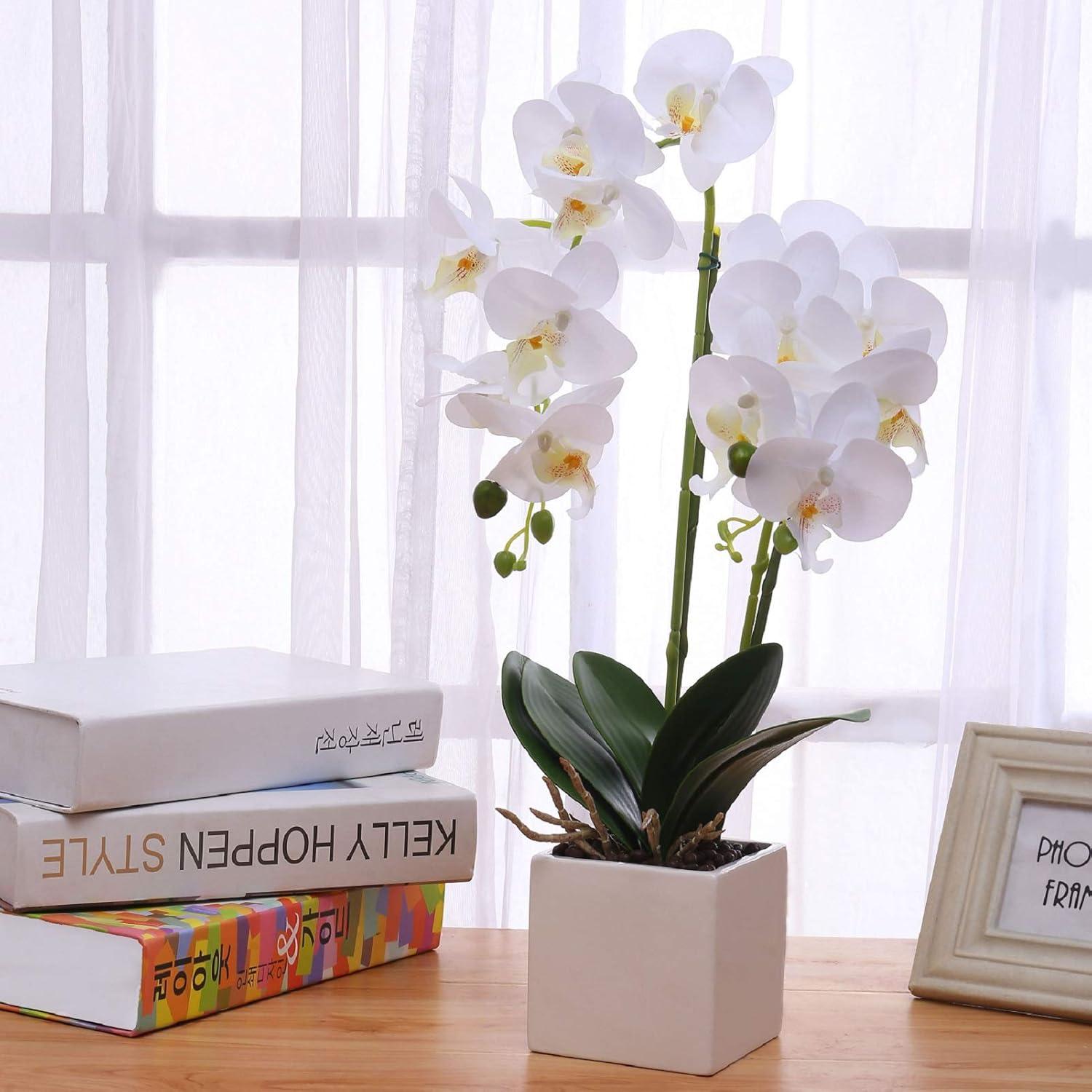 White Silk Orchid Bonsai in Ceramic Pot