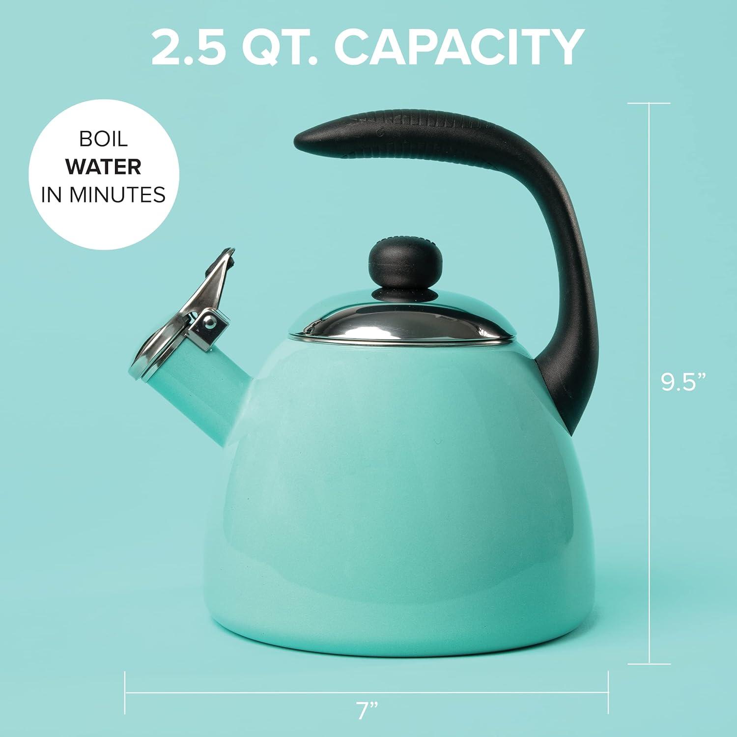 Aqua Enamel Whistling Tea Kettle with Silicone Handle, 2.5 Quart