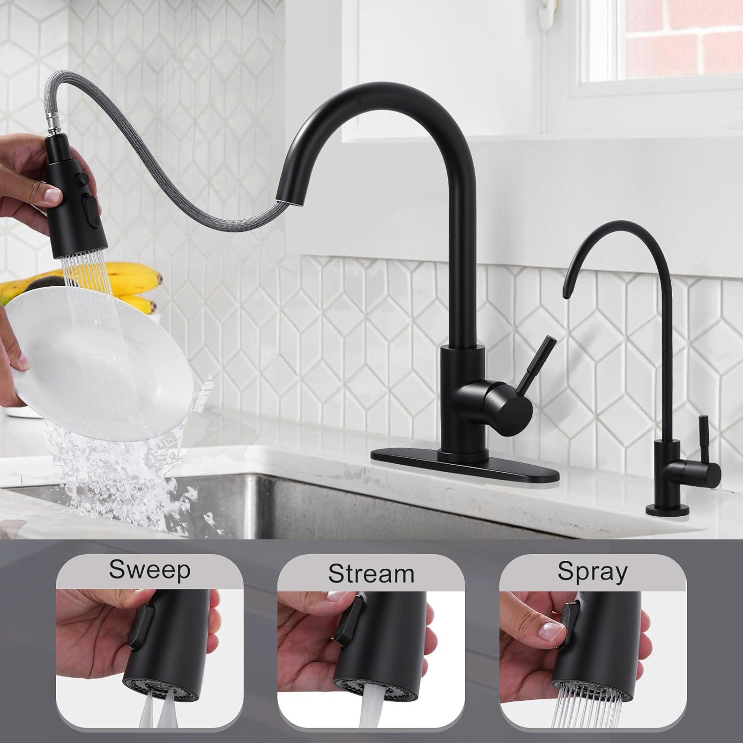 Matte Black Stainless Steel Kitchen Faucet with Pull-Out Spray