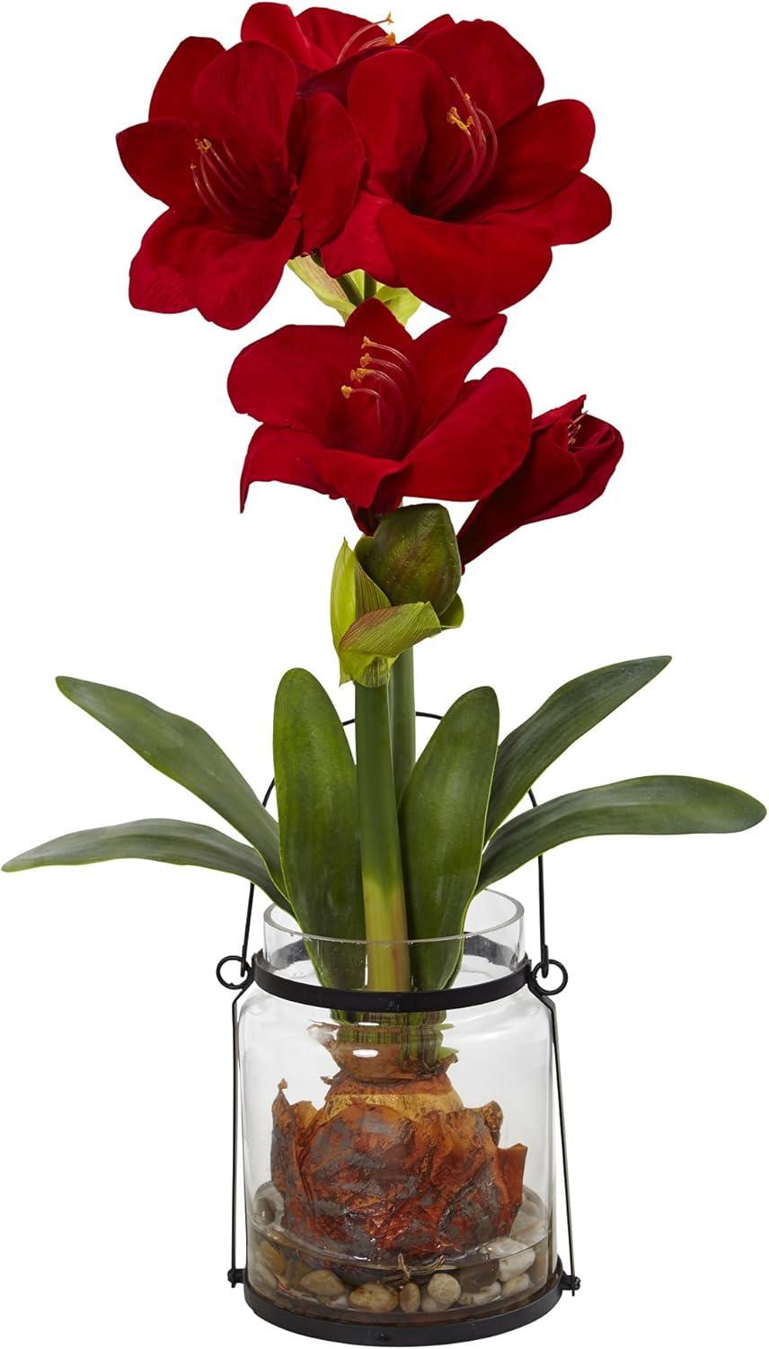 24-inch Red Amaryllis in Glass Vase with Green Leaves