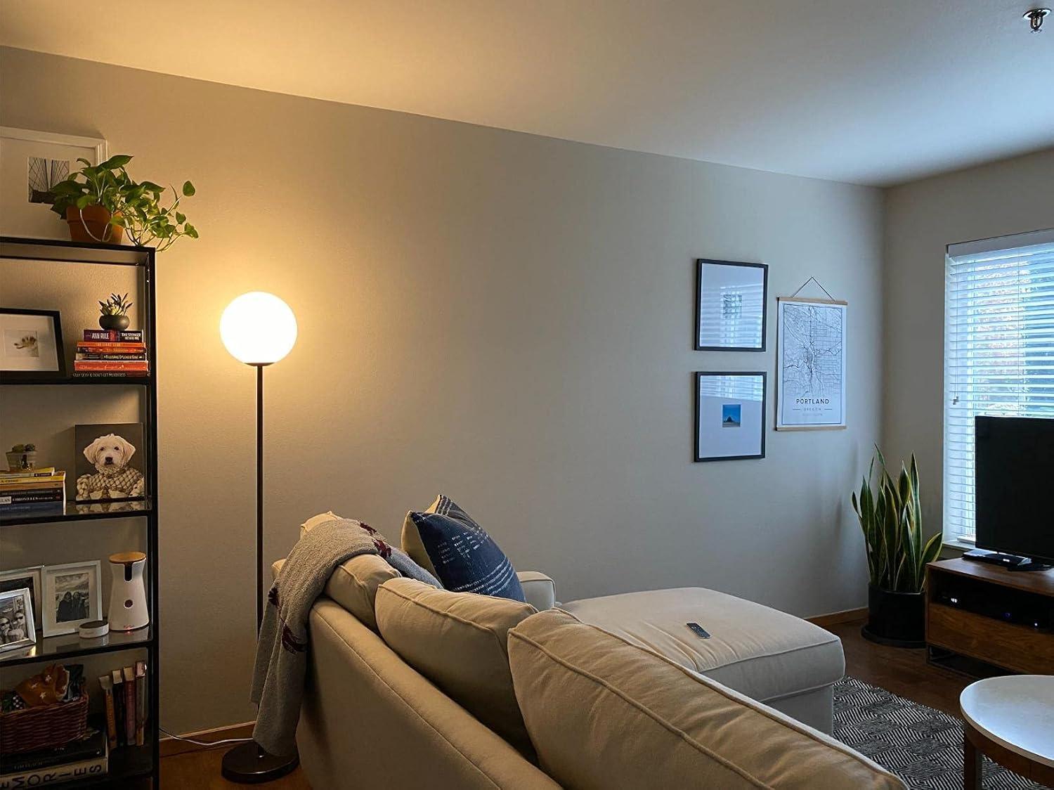 Luna 65 in. Modern LED Energy Efficient Floor Lamp with Frosted Glass Globe Shade