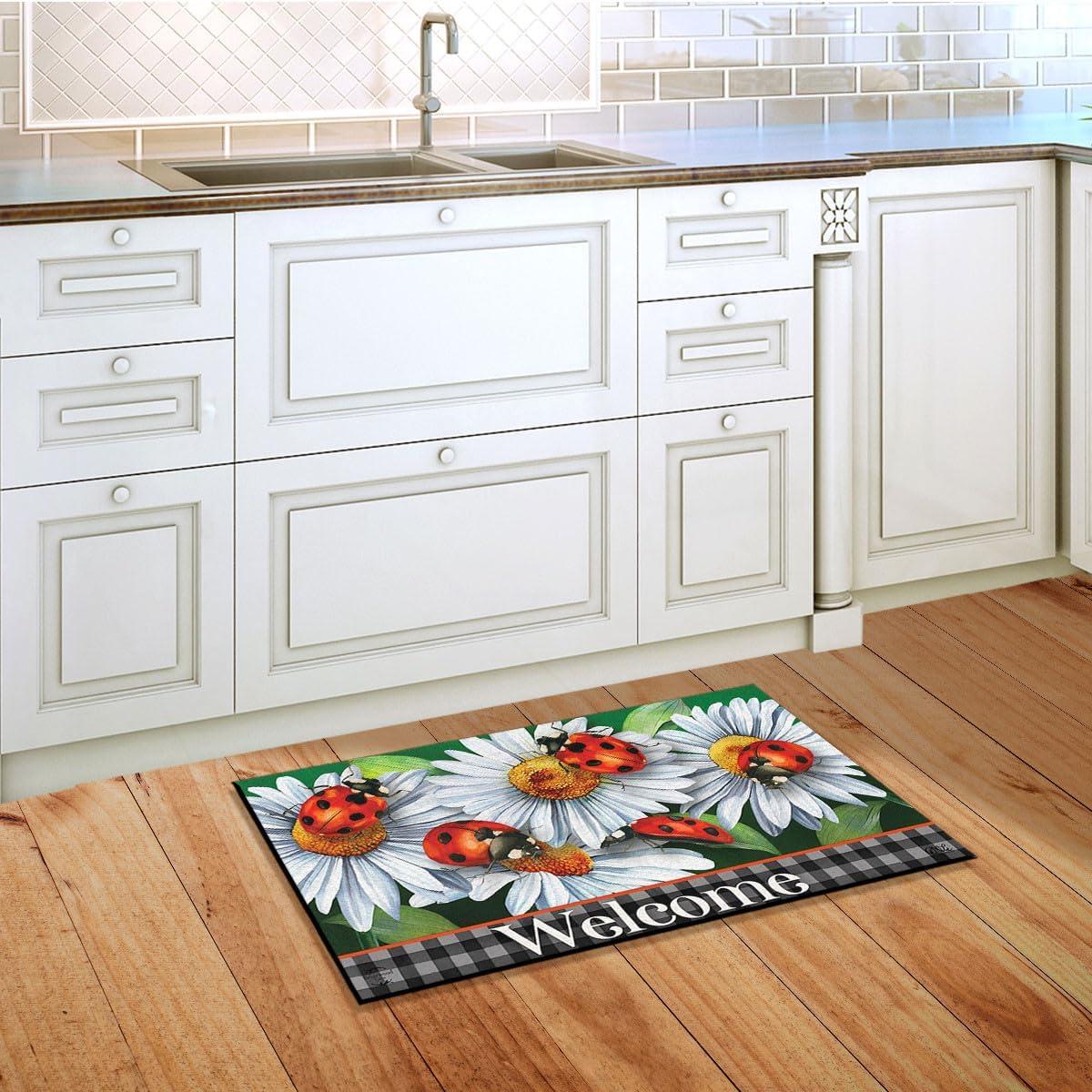 Briarwood Lane Spring Doormat 30x18 Indoor Outdoor Ladybugs and Daisies For Spring Doormat