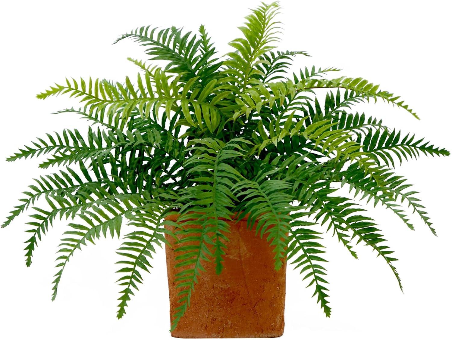 22'' Green Plastic Fern in Terracotta Planter