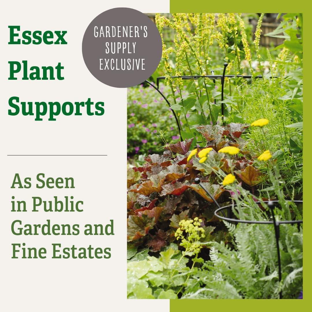 Essex Plant Supports