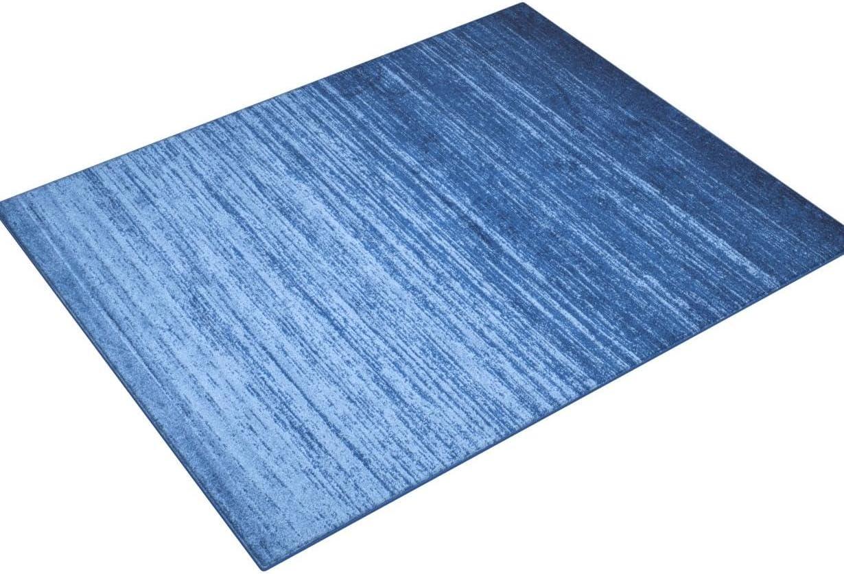 Adirondack Performance Ombre Rug