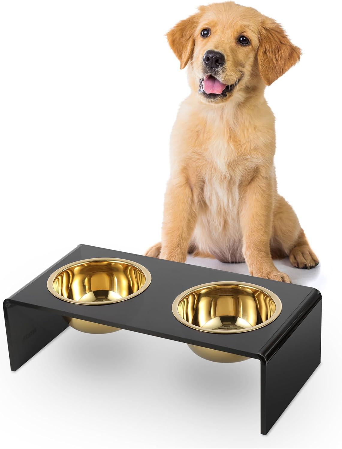 THE LICKER STORE Keaton Modern Lucite Rectangular Elevated Pet Feeder with 2-Stainless Steel Bowls