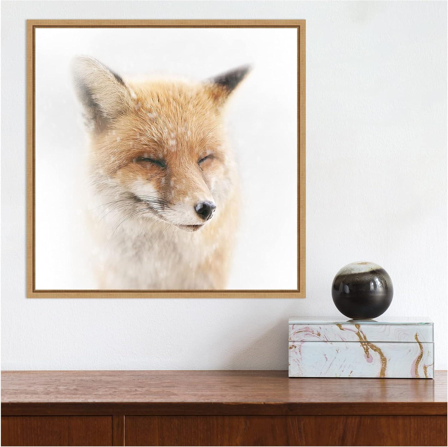 Satisfied Fox Framed Canvas Print in Maple Frame, 16 x 16 Inches