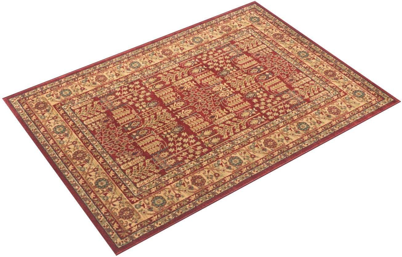 Mahal MAH697 Power Loomed Indoor Area Rug - Red/Natural - 6'7"x9'2" - Safavieh.