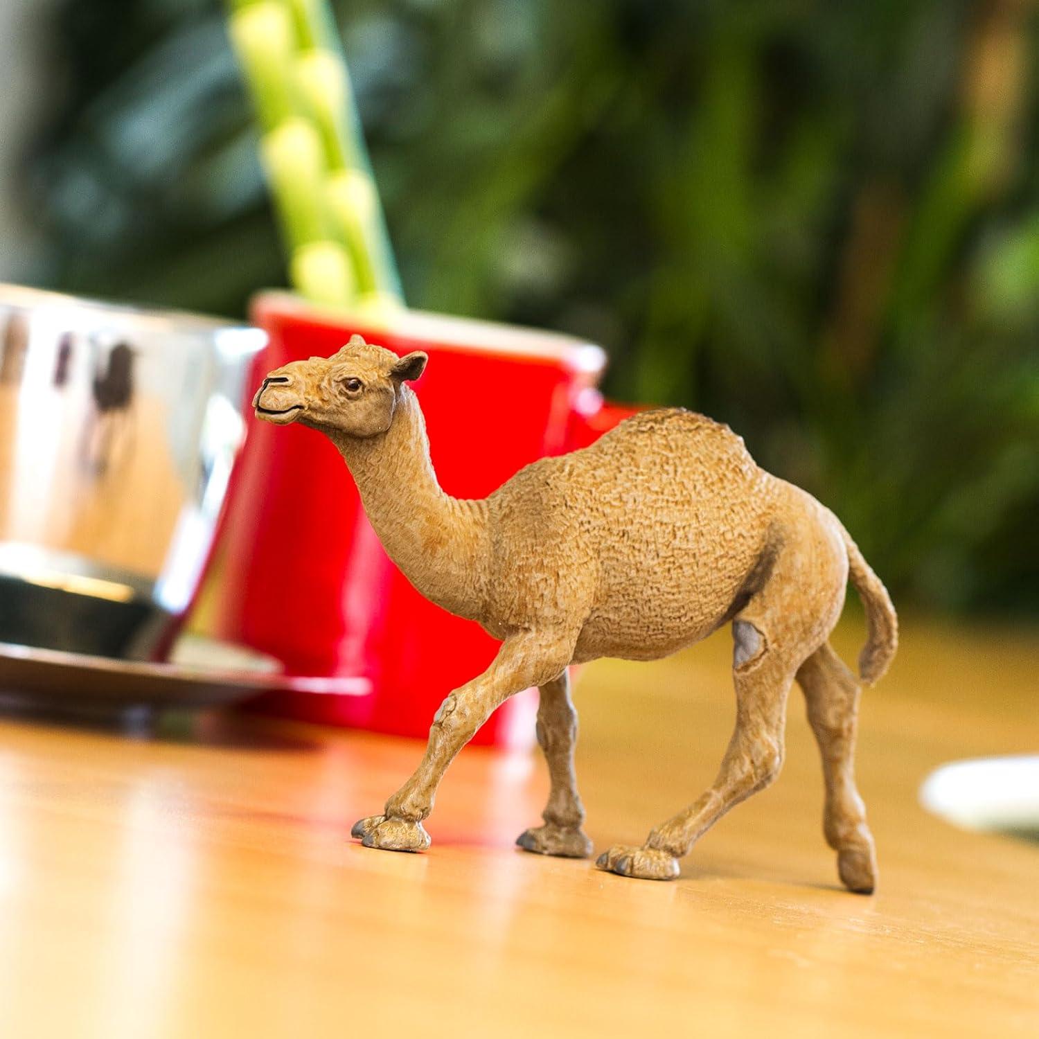 Safari Ltd. Dromedary Camel Figurine - Lifelike 5.75" Model Figure - Educational Toy for Boys, Girls, and Kids Ages 3+