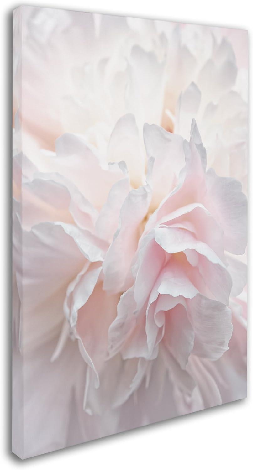 Trademark Fine Art - Cora Niele Pink Peony Petals IV Matted Framed Art