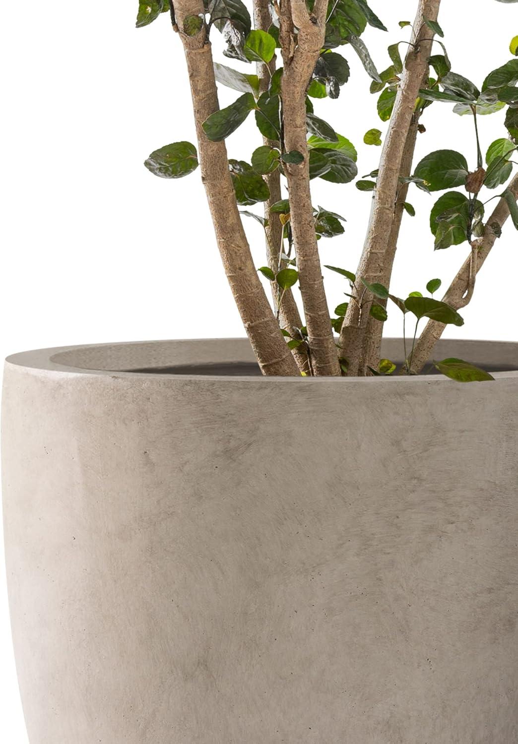 Set of 3 Gray Round Concrete Planters with Drainage Holes