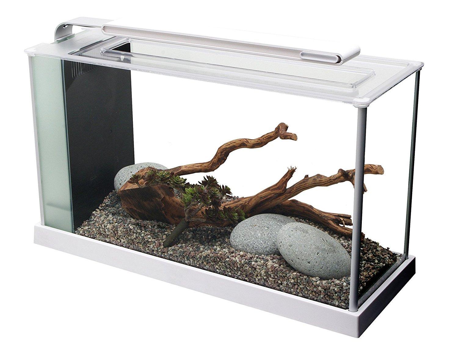 Fluval Spec V Aquarium Kit 5 Gal, White