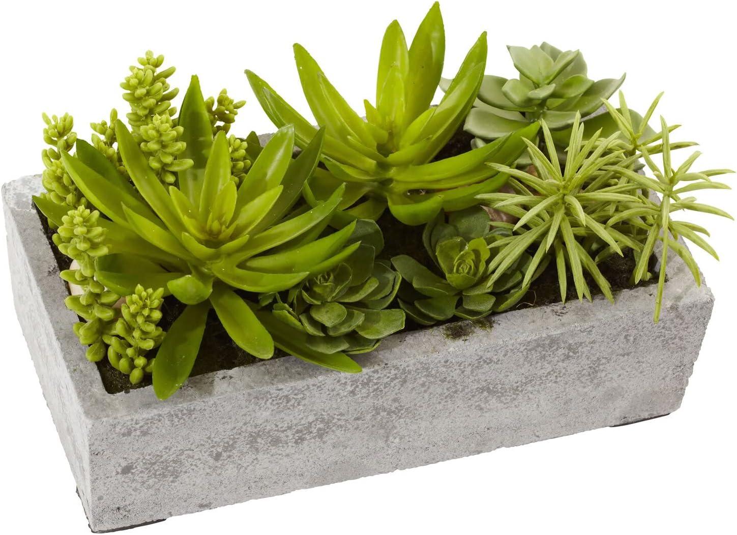 Nearly Natural Succulent Garden with Concrete Planter