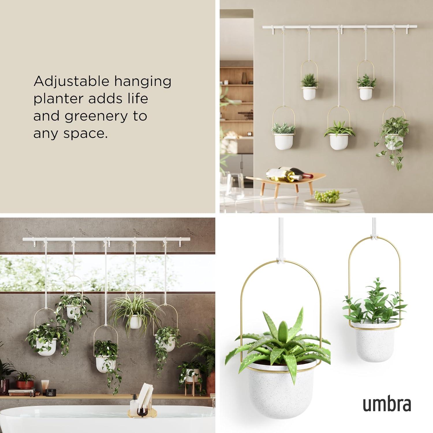 Umbra Hanging Planter