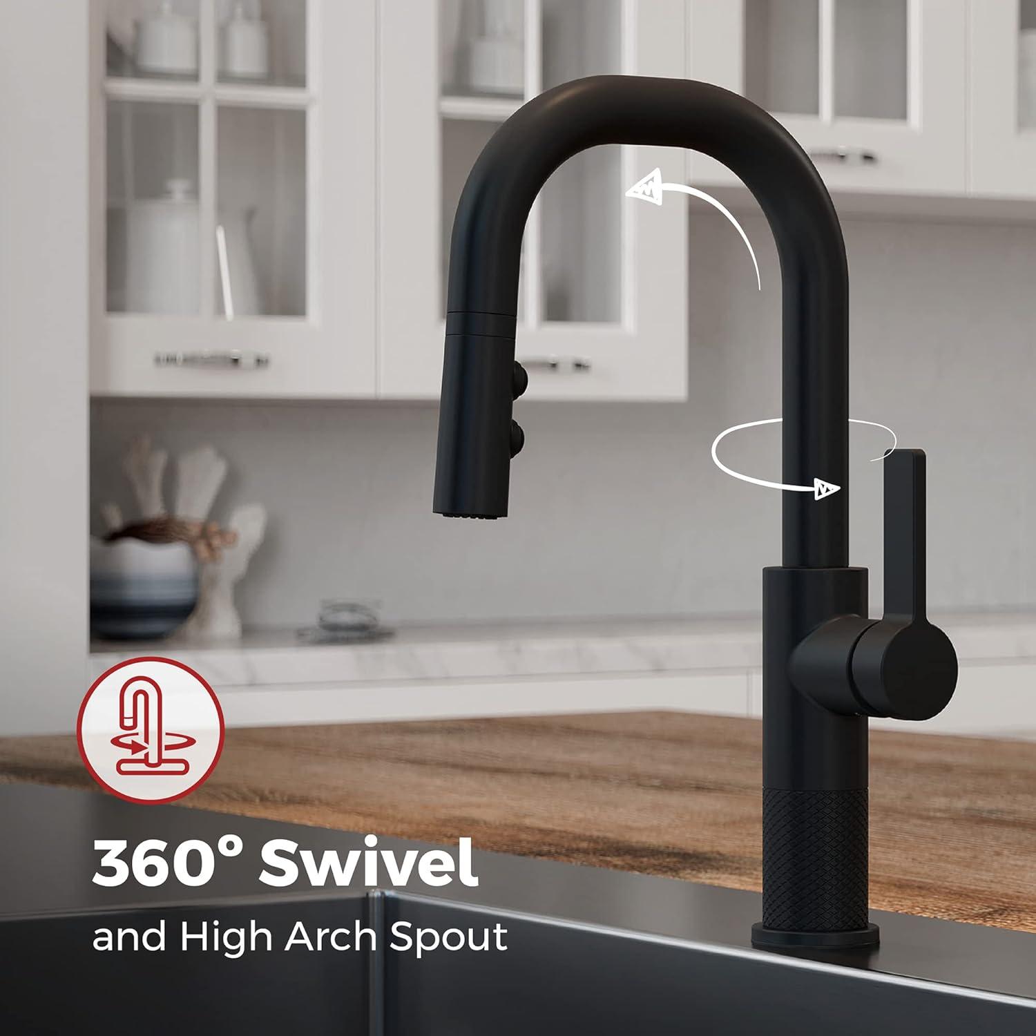 Matte Black Single Handle Pull-Down Kitchen Faucet