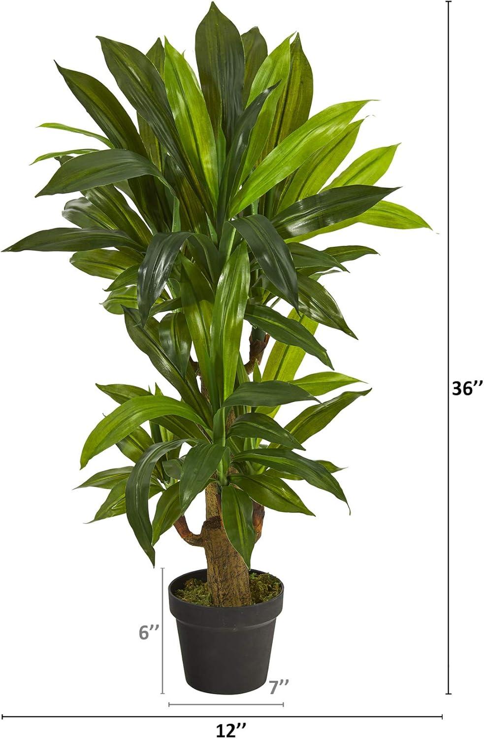 Nearly Natural 3-ft Corn Stalk Dracaena Artificial Plant (Real Touch)