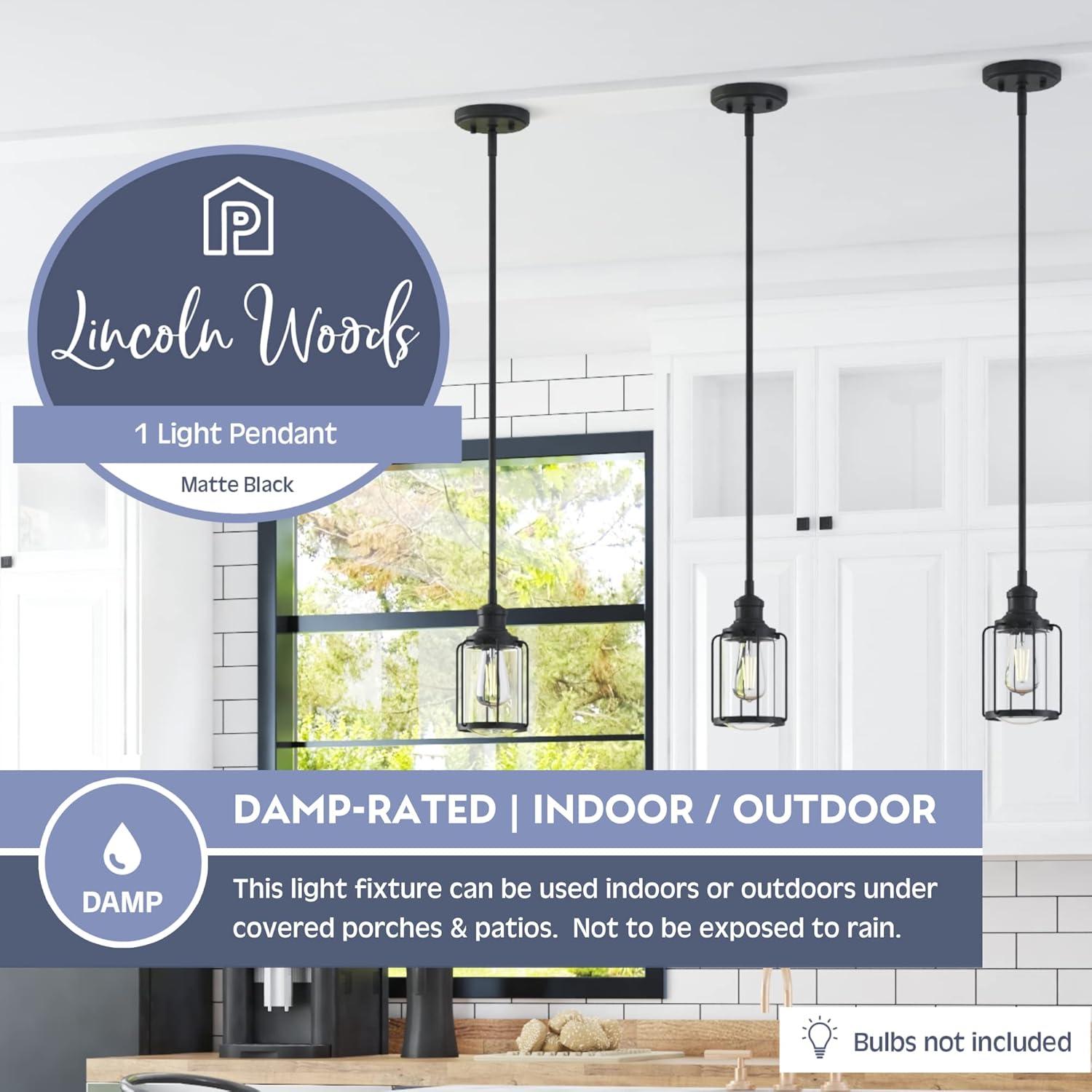 Matte Black Industrial Farmhouse Pendant Light with Clear Glass Shade