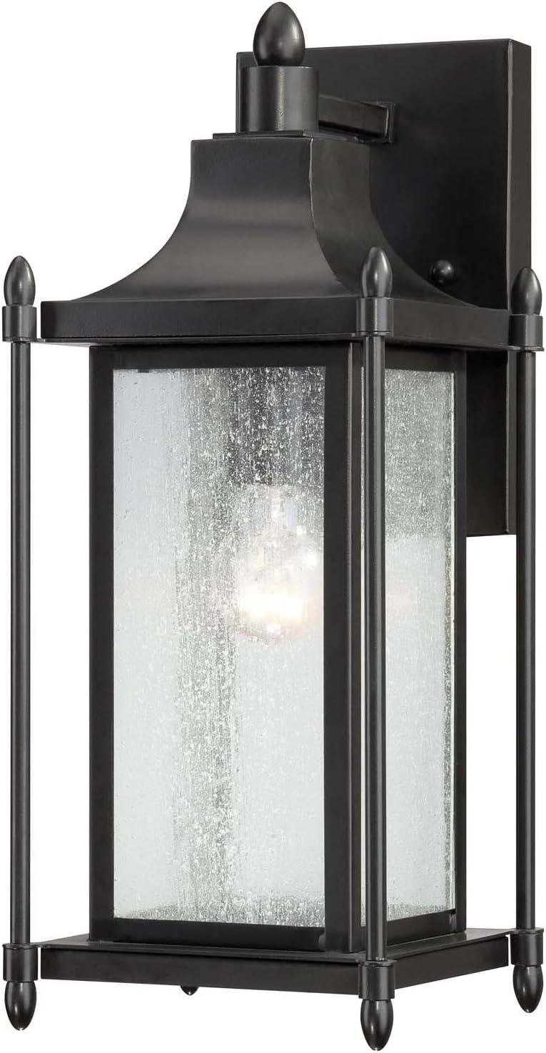 Dunnmore 1-Light Outdoor Wall Lantern in Black