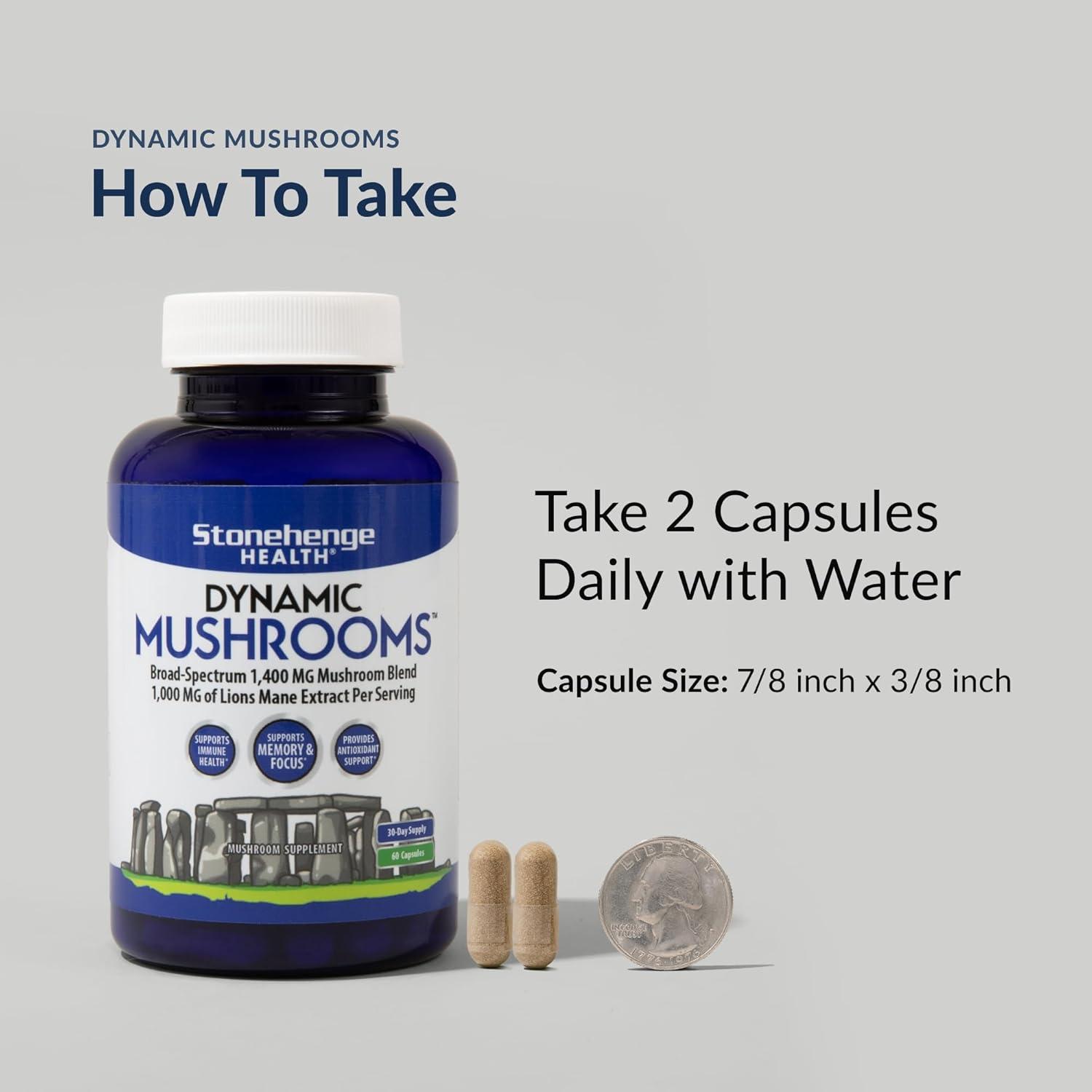 Stonehenge Health Dynamic Mushrooms - 100% Fruiting Bodies & Extracts - Lion’s Mane, Chaga, Maitake, Shiitake, Reishi - Nootropic Brain & Focus, Immune System Booster No Mycelium, 60 Veggie Capsules