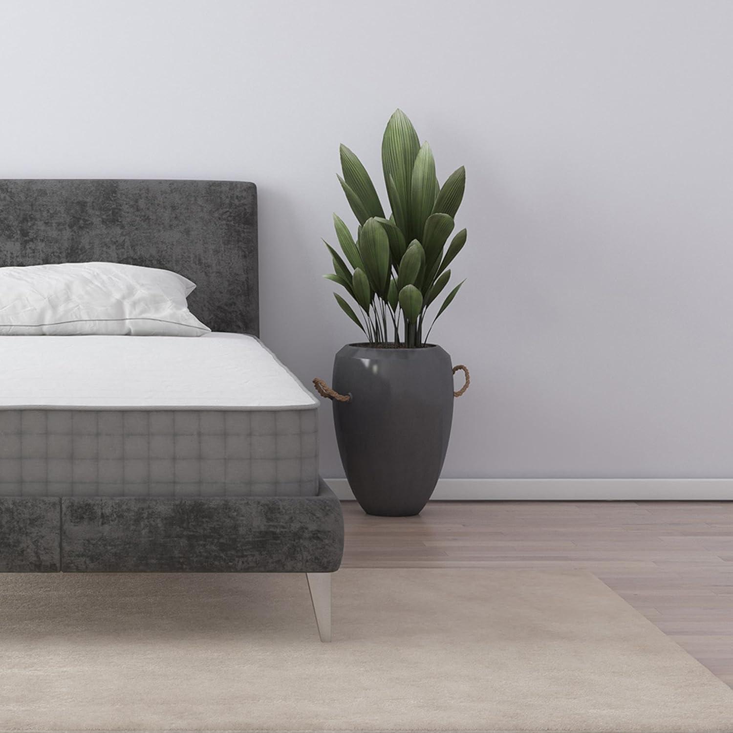 Signature Sleep Dream On 8” Pocket Spring Mattress & Reviews | Wayfair