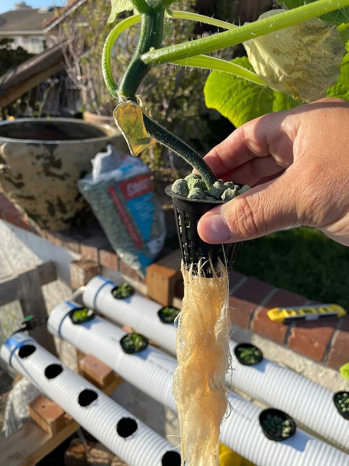 Eco-Friendly Mini Size Green Recycled Plant Drainage Gravel