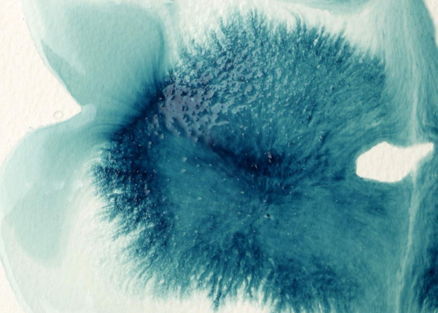 Liquitex Professional Acrylic Mediums Flow Aid Additive 118ml