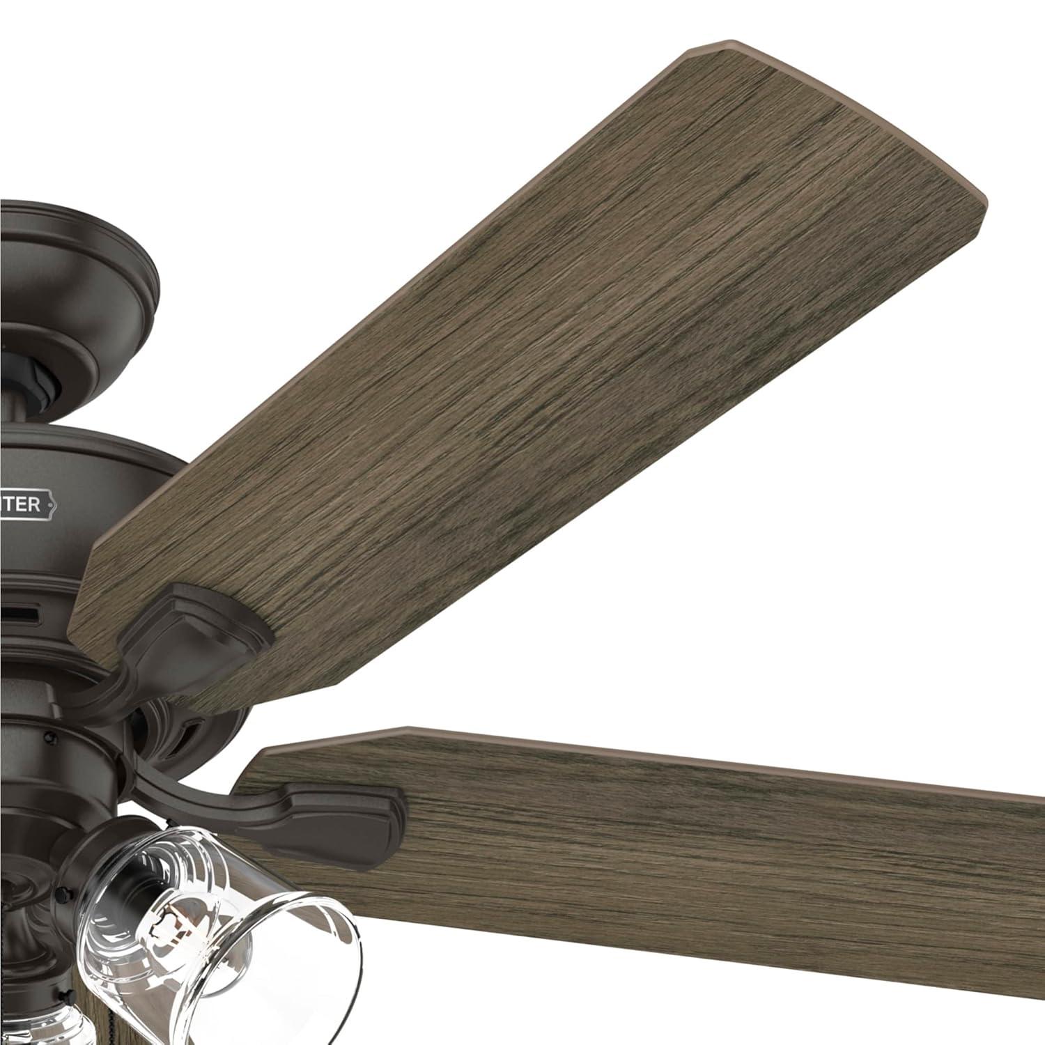 Hunter Fan 52" Rosner 5 - Blade Ceiling Fan With Lights and Pull Chains