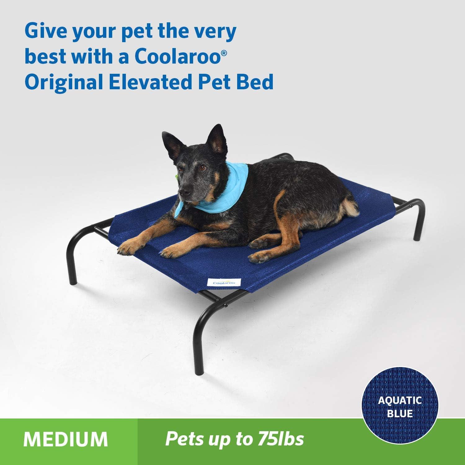 The Original Coolaroo Elevated Pet Dog Bed for Indoors & Outdoors, Medium, Aquatic Blue
