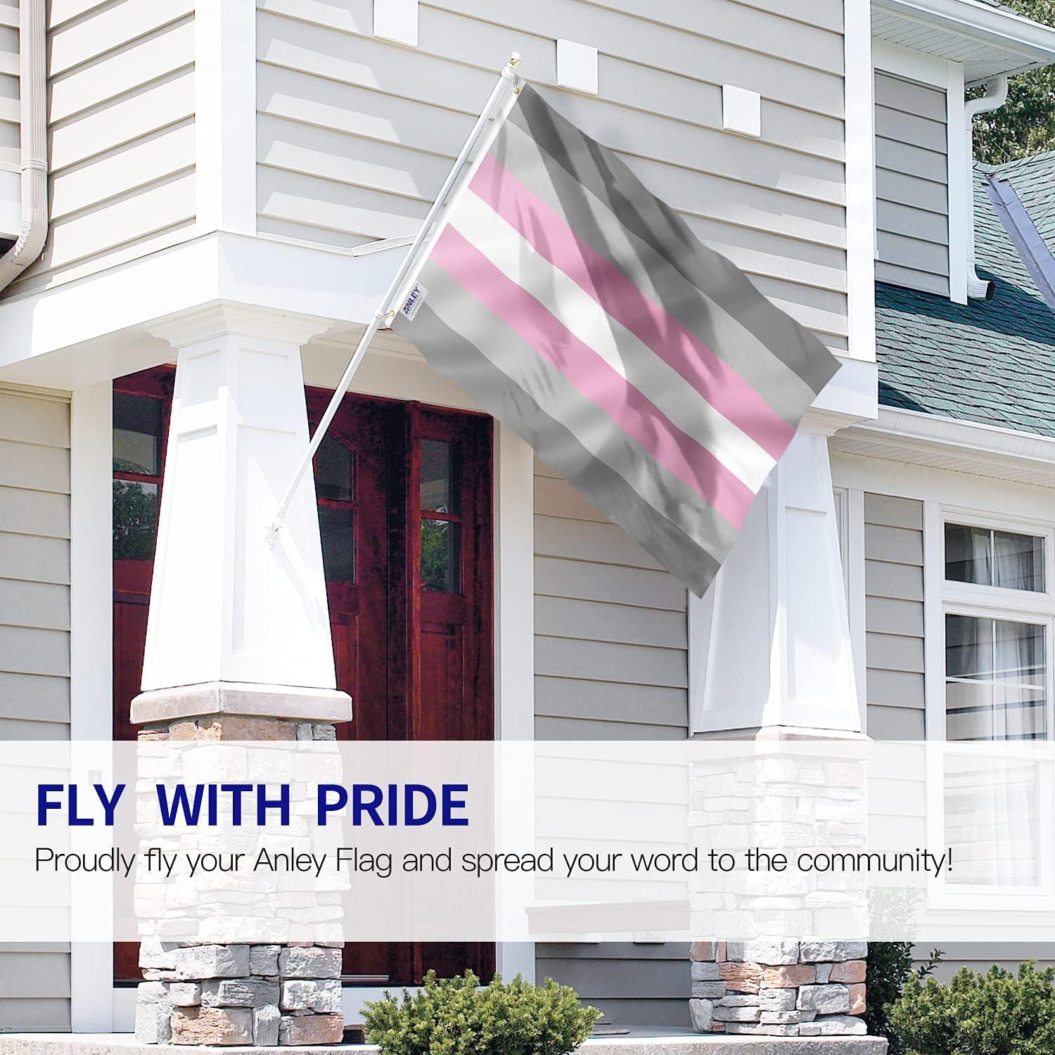 Anley Fly Breeze 3x5 foot Demigender Demmy-Girl Pride Flag - Demiwoman LGBT Flags Polyester