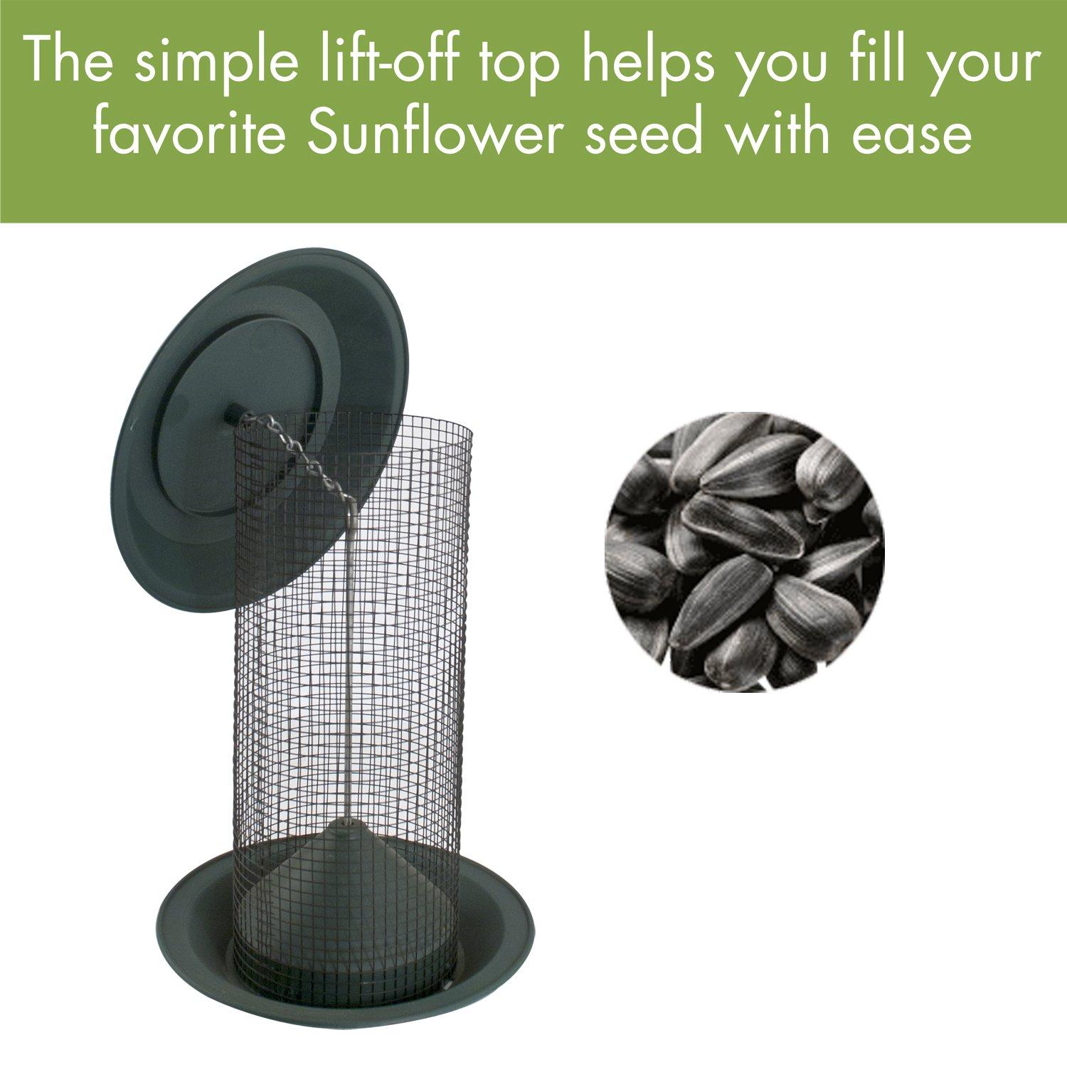 Woodlink Audubon Hanging Tube Bird Feeder