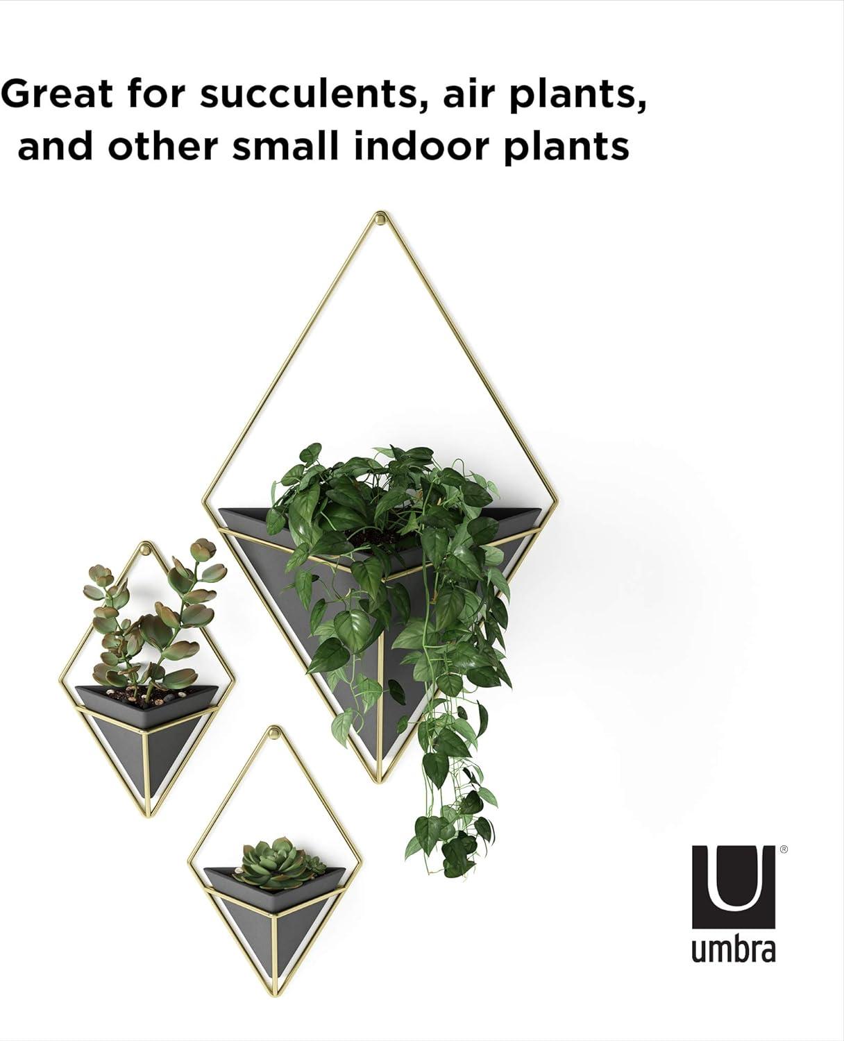 Small Black and Brass Geometric Hanging Planter Set