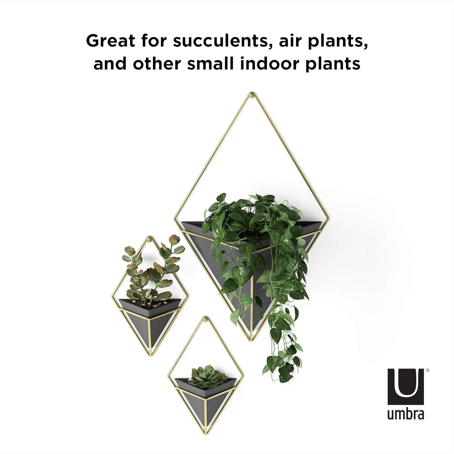 Trigg Wall Décor (Set of 2)
