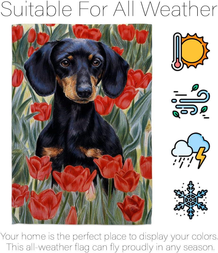 Breeze Decor Double Sided 40.00'' H x 28.00'' W Polyester Flag Set