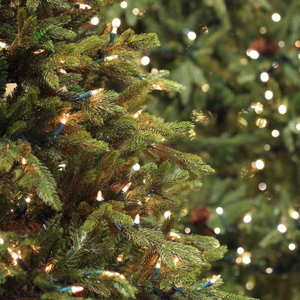 Holiday Essence Chasing Christmas Lights, 8 Function Controller 140 Clear Mini Bulbs Green Wire Indoor String Lights, 31.2 Feet Long Holiday Decor