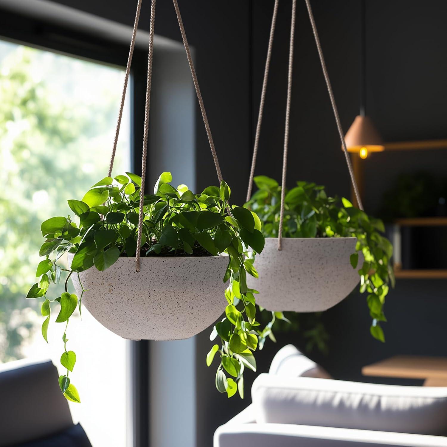 Boxdale Hanging Planter - Set of 2 (Set of 2)